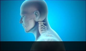 광화문자생한방병원 목질환 일자목증후군-정상적인 C자형 목뼈 모습입니다.