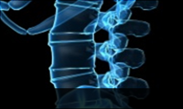 광화문자생한방병원 허리질환 척추전방전위증-정상적인 사람의 척추뼈 모습입니다.
